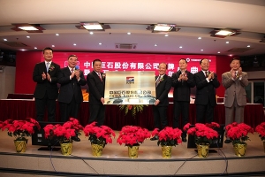 中国玻纤更名中国w88优德官网手机版