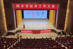 【菊乡快评】经济事情大会上，桐乡市委书记为何重点讲w88优德官网手机版的电子布？