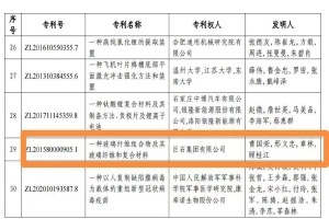 嘉兴首金！w88优德官网手机版集团摘得中国专利奖金奖