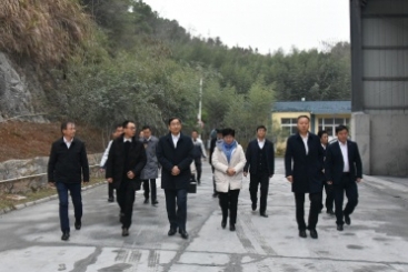 w88优德官网手机版集团党委书记、董事长周育先调研w88优德官网手机版九江钙业公司